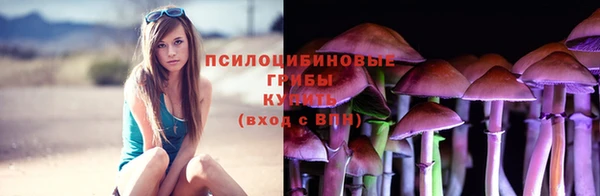 каннабис Зеленокумск